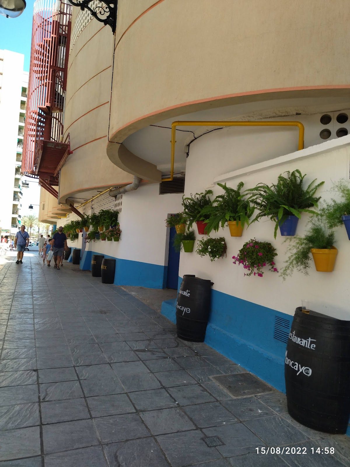 Social Club Amsterdam | Fuengirola