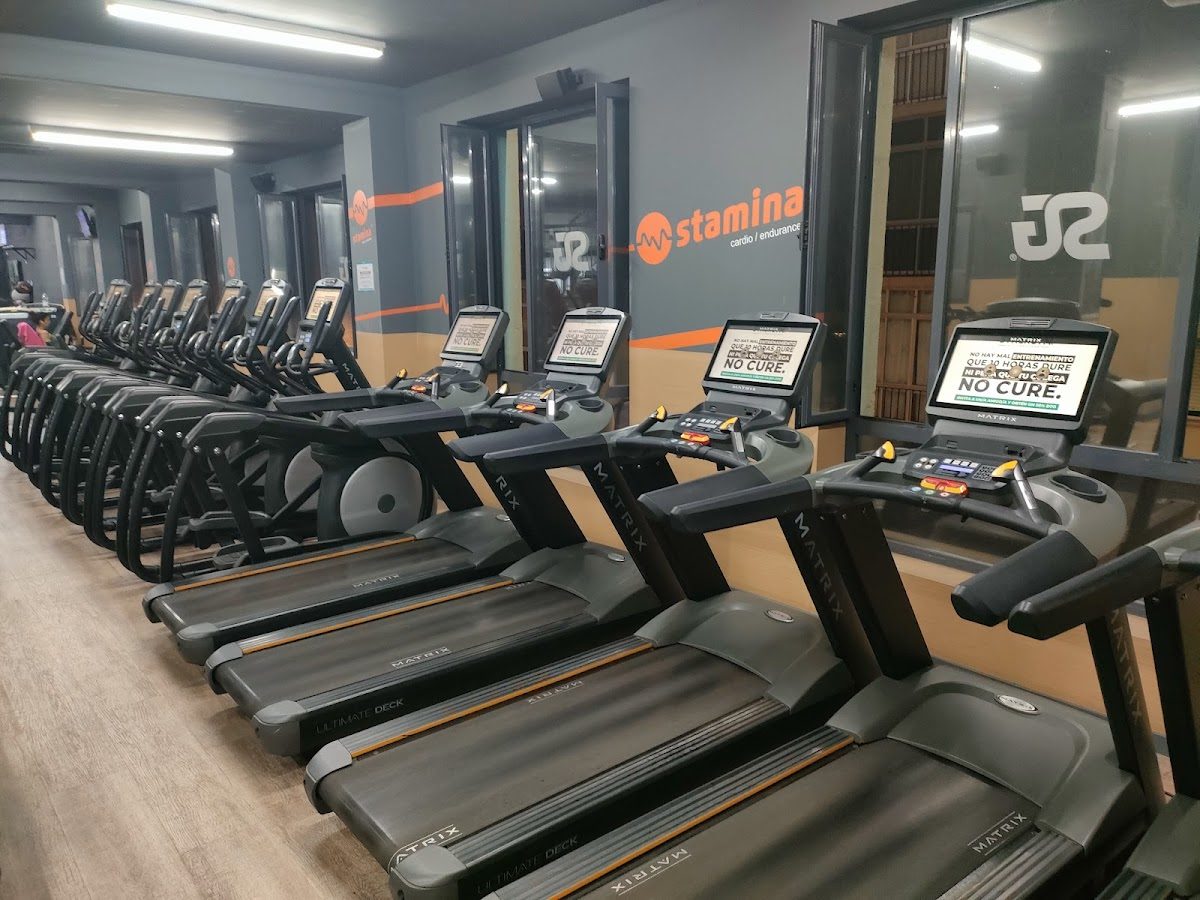 Synergym Málaga Los Tilos