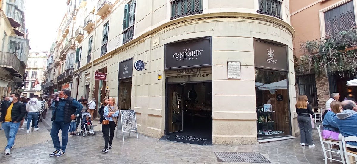 The Cannabis Factory