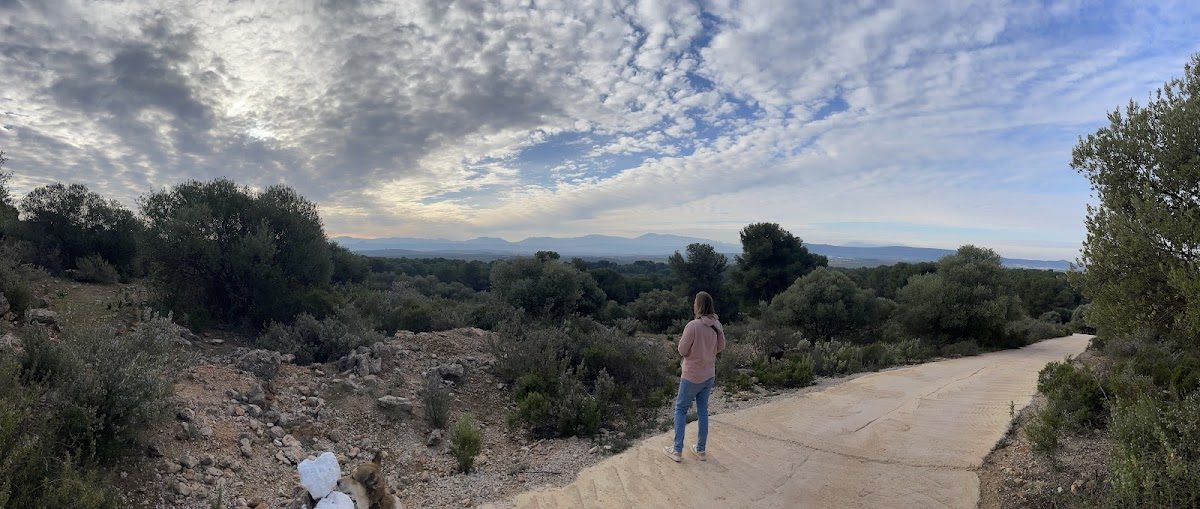 Una persona se encuentra en un sendero con vistas a un paisaje pintoresco con árboles y montañas a lo lejos, cerca de Torre de Agua.