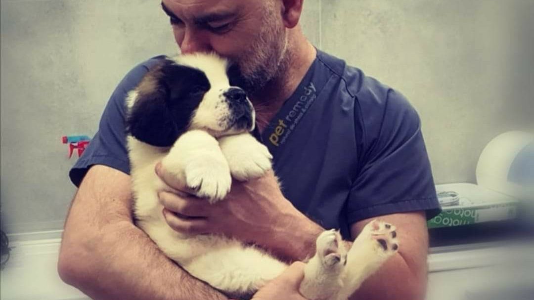 Veterinary clinic Dr. Alonso Martínez