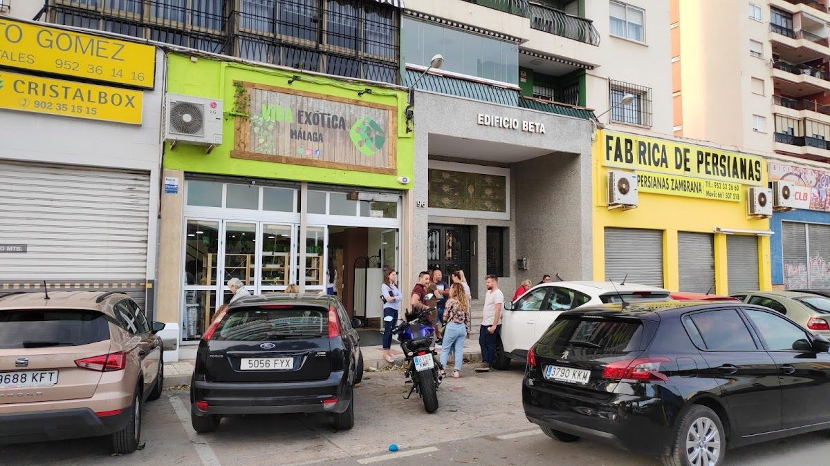 Vida exótica Málaga